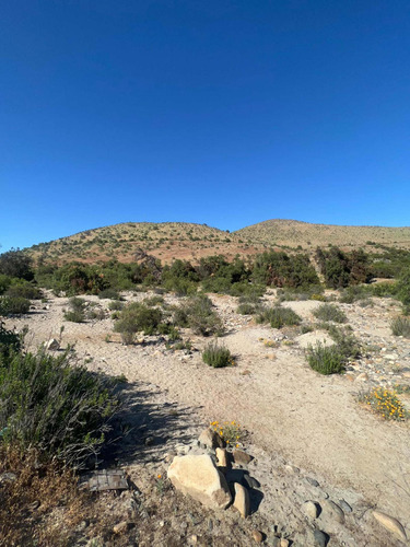 Terreno Punitaqui, Ovalle