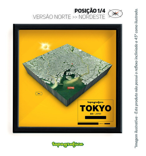Tóquio (japão) - Mapa 3d Infograf - 1 Quadro 20x20cm
