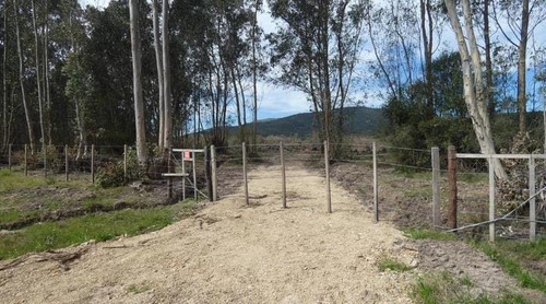 Imagen 4 de 6 de Chacra En Venta De 5 Hás. En Cerros Azules , Maldonado