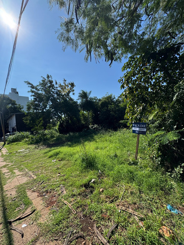 Terreno Sobre Avenida Tomás Guido, Posadas