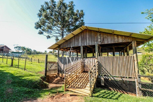 Imagem 17 de 28 de Chácara Com 2 Dormitórios À Venda, 121000 M² Por R$ 2.500.000,00 - Roça Nova - Araucária/pr - Ch0006
