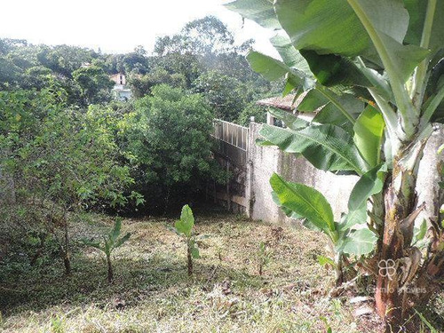 Imagem 10 de 16 de Terreno À Venda, 540 M² Por R$ 300.000,00 - Fazendinha - Carapicuíba/sp - Te0459