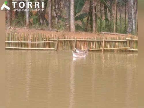 Imagem 9 de 25 de Chácara A Venda Em Ibiúna - Ch00158 - 34795142