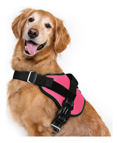 Arnés Para Perro Rabbitgoo Grande, Ajustable, No Tira, Xl