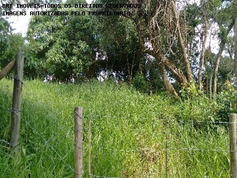 Imagem 2 de 5 de Terreno - Te00035 - 2512240