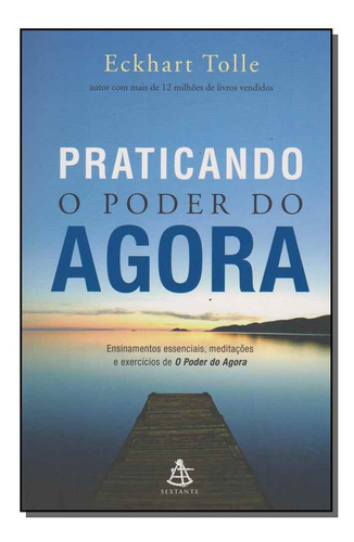 Libro Praticando O Poder Do Agora De Tolle Eckhart Gmt