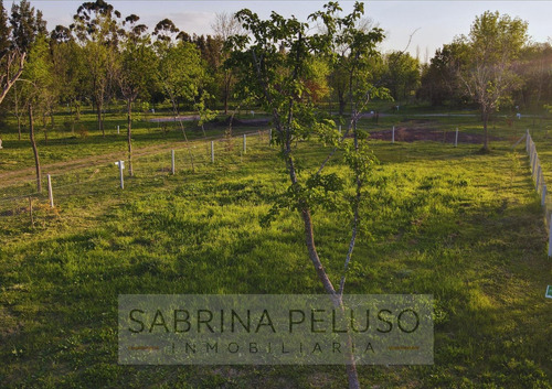 Lotes Escriturables En Venta Moreno