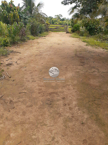 Imagem 9 de 10 de Venda Sítio Buritis Em Rondônia - Si337