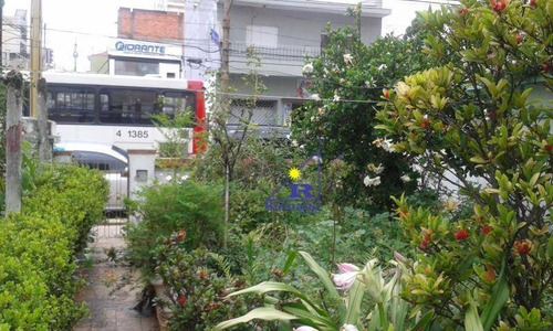 Casa Comercial Para Locação, Tatuapé, São Paulo - Ca0025. - Ca0025