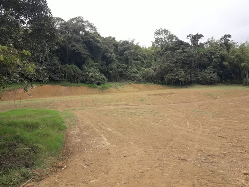 Se Vende Lote Tuluá Valle Del Cauca