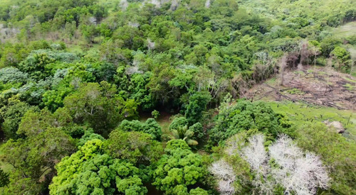 Finca De 887 Tareas En República Dominicana