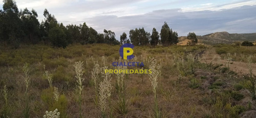 Imagen 7 de 12 de 5 Hectáreas, Entrega 8.000 Y El Saldo En Cuotas De 593 U$s