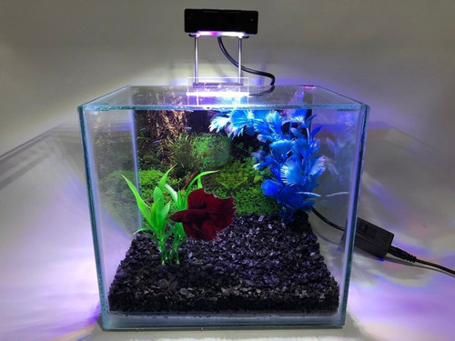 Imagem 6 de 6 de Luminária Led Aquário Eco Betta S10 Bra/azu/ver 10/20cm
