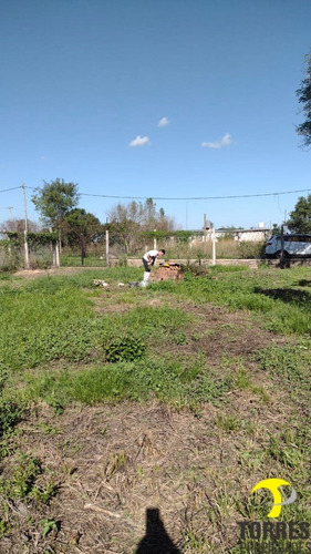 2 Lotes En Venta De 451 M2 C/u, Paso De La Patria, Corrientes, Argentina