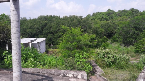 Rancho En Venta En Veracruz Carretera Paso De Ovejas