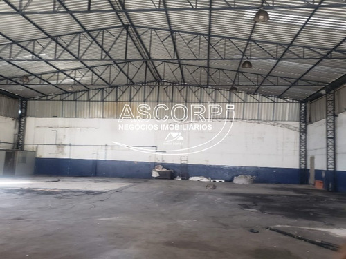 Imagem 2 de 3 de Ótimo Barracão Comercial Paulicéia (ba00024) - Ba00024 - 70326434
