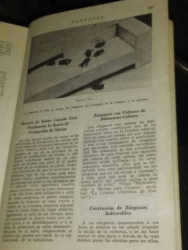 Abc Y Xyz De La Apicultura (Usado)