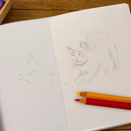 Sketch Book Dibujo Da Vinci Cosido 110g. A5