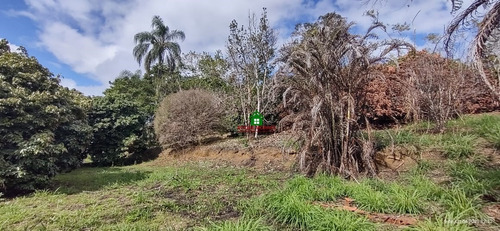 Imagem 4 de 8 de Terreno Medindo 5.401 M² Em Miracatu-sp Ref.: 0686