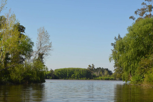 Imagen 10 de 16 de Venta Lote En Bahías Del Paraná - Chacra 4000 M2