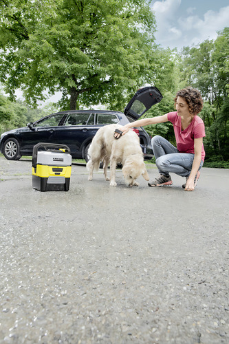 Cepillo Para Mascotas Cerdas Blandas Karcher