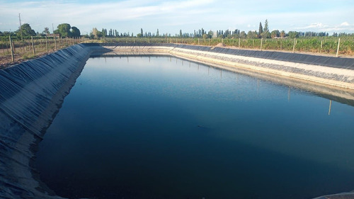Campo En Venta En San Rafael