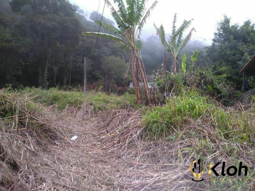 Imagem 12 de 13 de Terreno À Venda No Bairro Morin - Petrópolis/rj - 2944373063675
