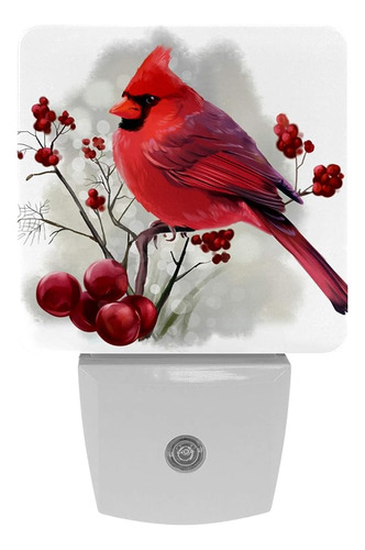 ~? Winter Bird Cardinal Sentado En La Rama Ilustración Plug 