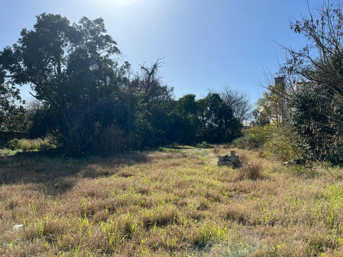 Venta Terreno 26x60 M2 Luis Guillon