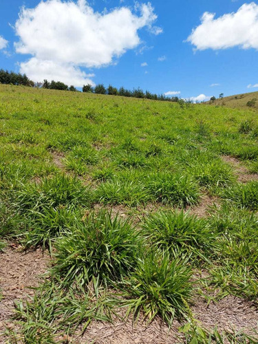 C. Terreno Perto Da Represa