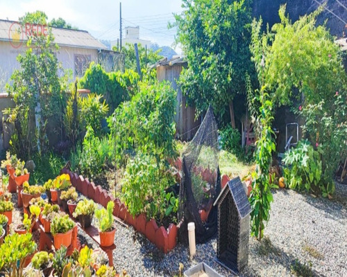 Imagem 4 de 26 de Casa No Gravatá - Ca00116 - 70678479