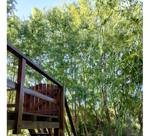 Casa En Venta Isla Delta 1ra Seccion Tigre. Toda De Material Ideal Vivienda Permanente, Fin De Semana O Alquiler. Tomo Permuta Casa 2 Ambientes Con Jardin Y Pileta Zona Pilar, Benavidez