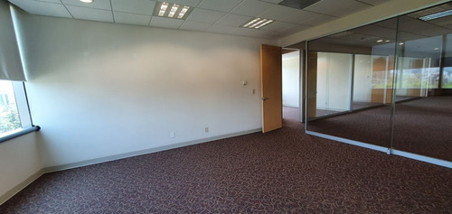 Oficina 335m2 Acondicionada En Insurgentes Parque Hundido