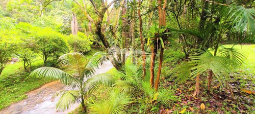 Imagem 8 de 10 de Sitio Com Ribeirão E Lagoa - 4094