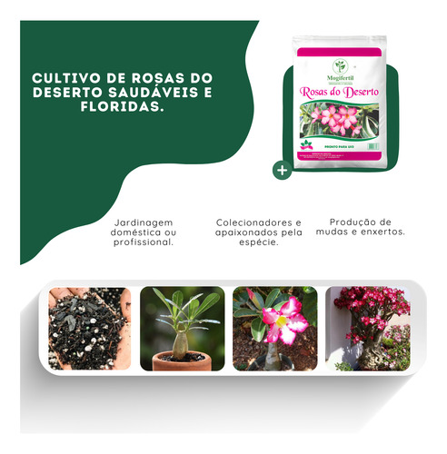 Substrato Para Rosas Do Deserto 5kg - Drenagem E Aeração