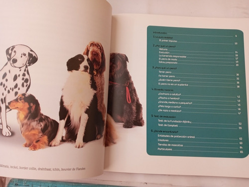 El Encantador De Perros No 1 Un Perro Que Perro Aguilar (Usado)