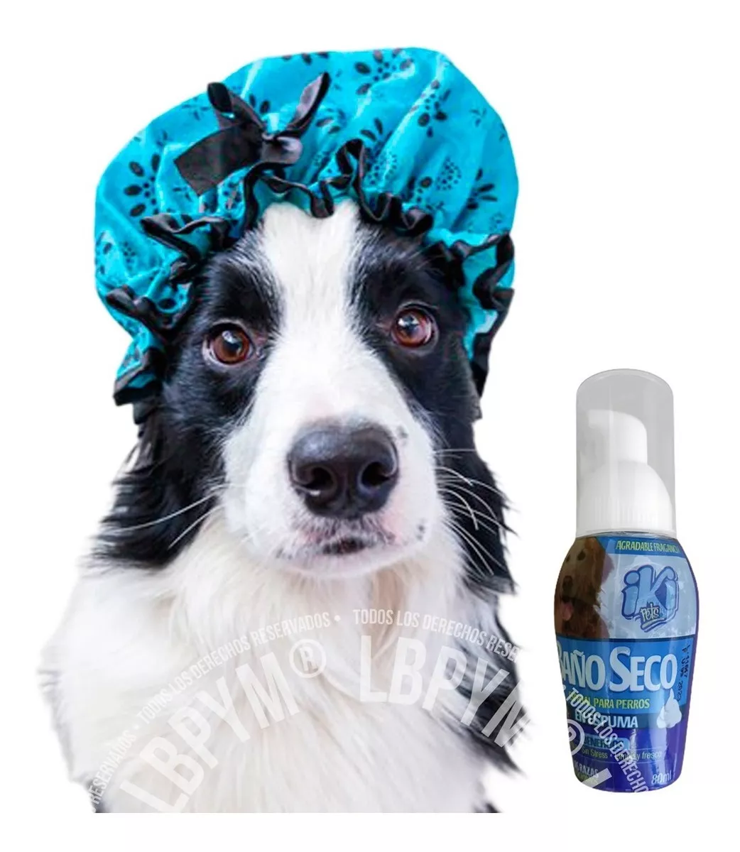 Primera imagen para búsqueda de shampoo en seco para perros