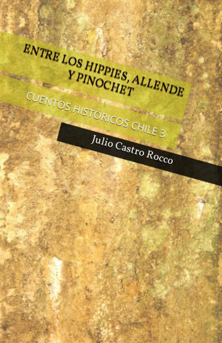 Libro: Entre Los Hippies, Allende Y Pinochet.: Cuentos Histó