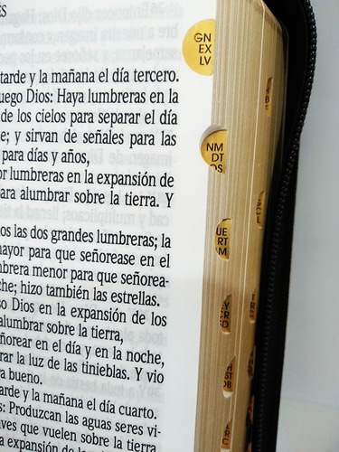 Imagen 6 de 10 de Biblia Rvr60 Let Gde Imit Piel Café León Oro Cierre E Índice