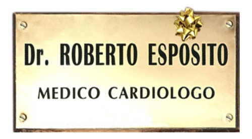 Placa Profesional Bronce O Acero + Regalo