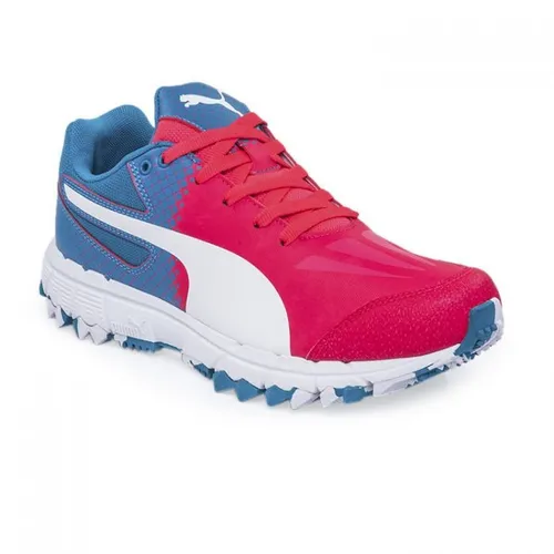 Botines Puma Hockey Evospeed 4.5 Fh 103782/05 Lefran MercadoLibre