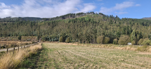 Terrenos Desde Los 5.000mts2 En Cañete