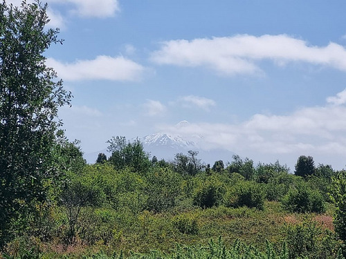 Sitio De 40 Ha Para Loteo En Alerce 