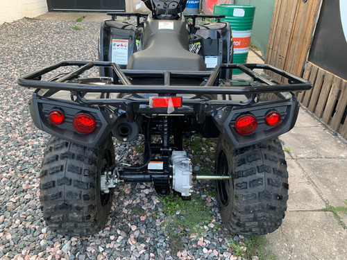 Cuadri Atv Kawasaki Brute Force 300cc