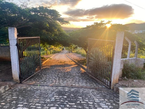 Imagem 16 de 27 de Chácara Com 8ha A Venda Em Guarabira, Paraíba