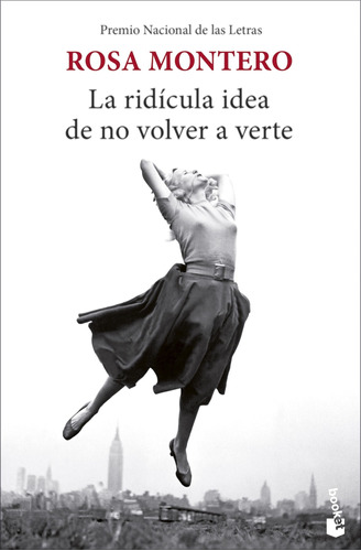 Libro La Ridicula Idea De No Volver A Verte /939