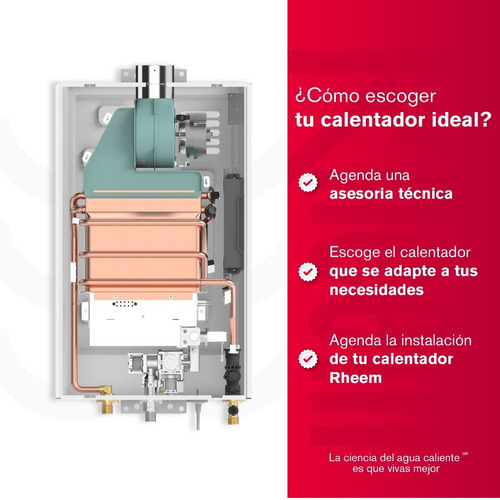 Calentador De Agua 14lt Gas Propano Tiro Forzado Dig Rheem Color Blanco Tipo De Gas Glp 120v