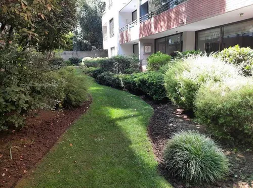 Las Condes (96500)