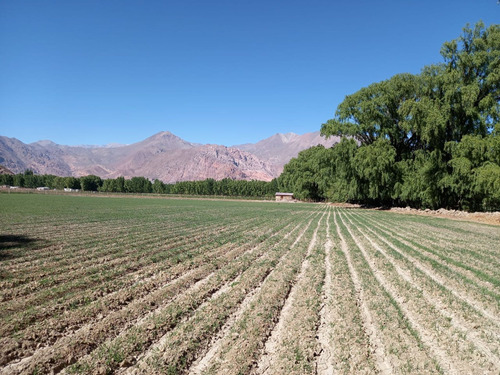 Venta Terreno Uspallata Frente A 4 Elementos 