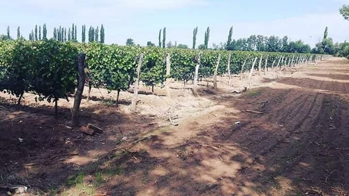 Vendo Finca En San Rafael.